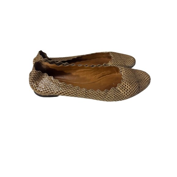 Chloé Scalloped Snakeskin Print Leather Ballet Flats Size 7.5 Brown Beige Textur - Picture 4 of 8